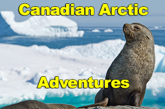 Canadian Arctic Adventures